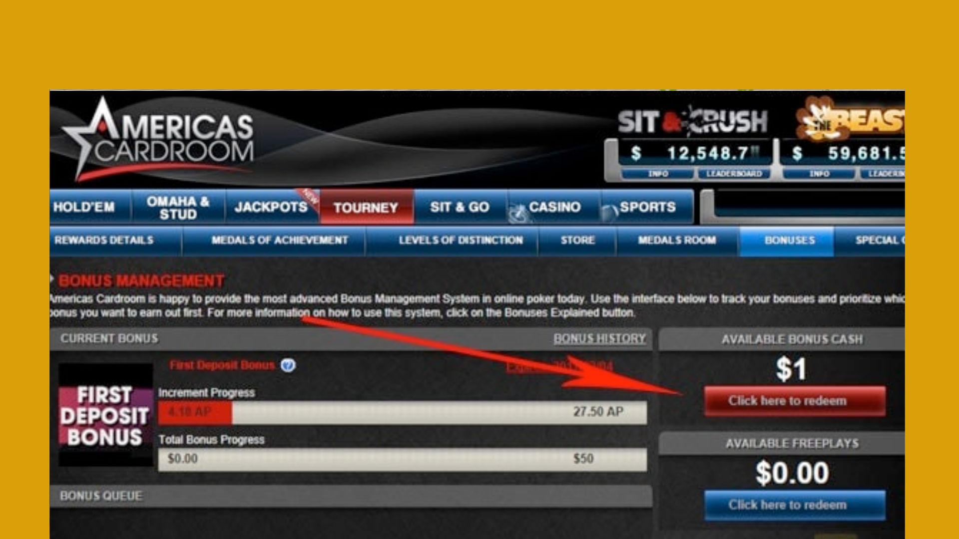 Americas Cardroom Review | poker games, registration, support